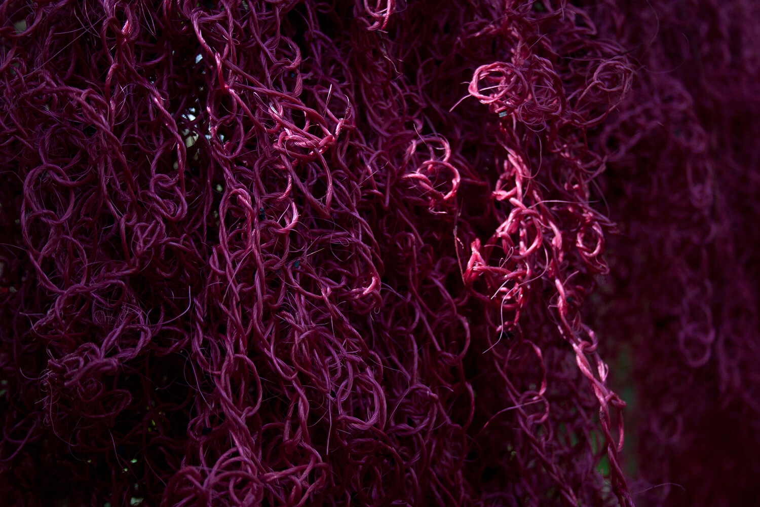 CHOKANARY 15_galeria_MG_3267.jpg